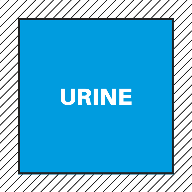 HOW TO GET RID OF THE SMELL OF URINE