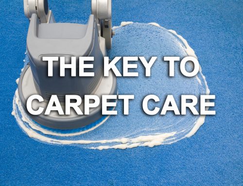 The Key To Carpet Care