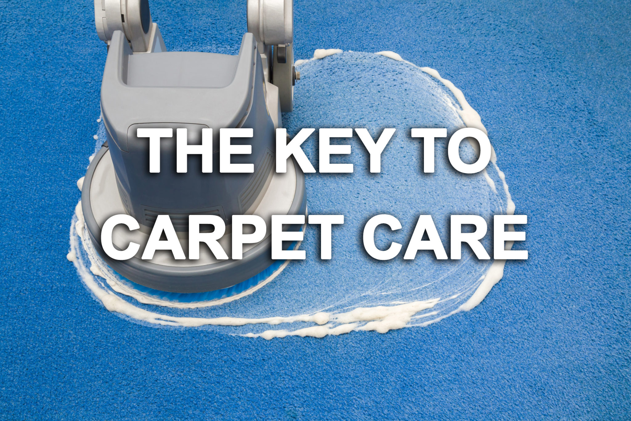Carpet Care