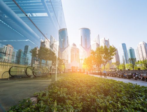 Workplace Sustainability: REACH & Biocidal Regulation