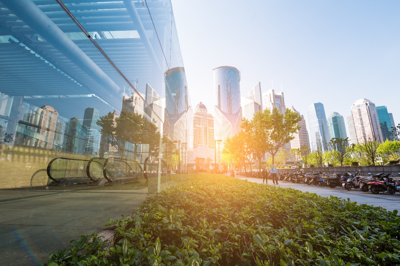 Workplace Sustainability: REACH & Biocidal Regulation