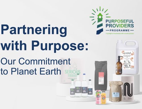 Why Forestation Is Essential For Our Planet -And How You Can Make A Difference