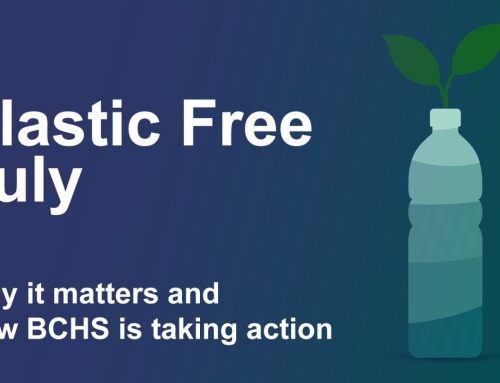 Plastic Free July: Why It Matters & How BCHS Is Taking Action