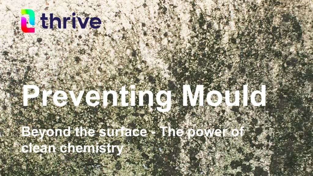 Preventing Mould with Thrive Sciences - Beyond the surface - the power of clean chemisty