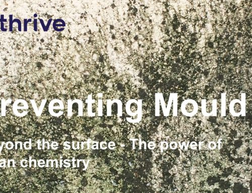 Mould Management in UK Housing and Beyond