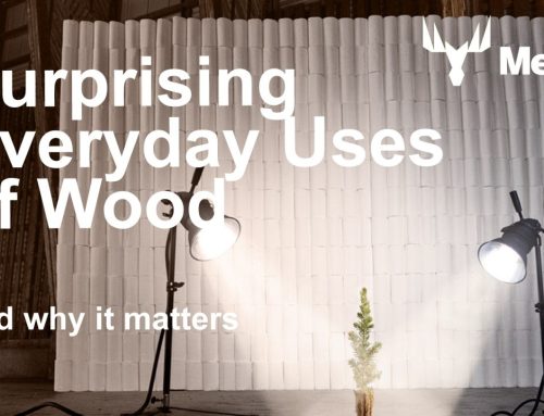 Surprising Everyday Uses of Wood – And Why It Matters